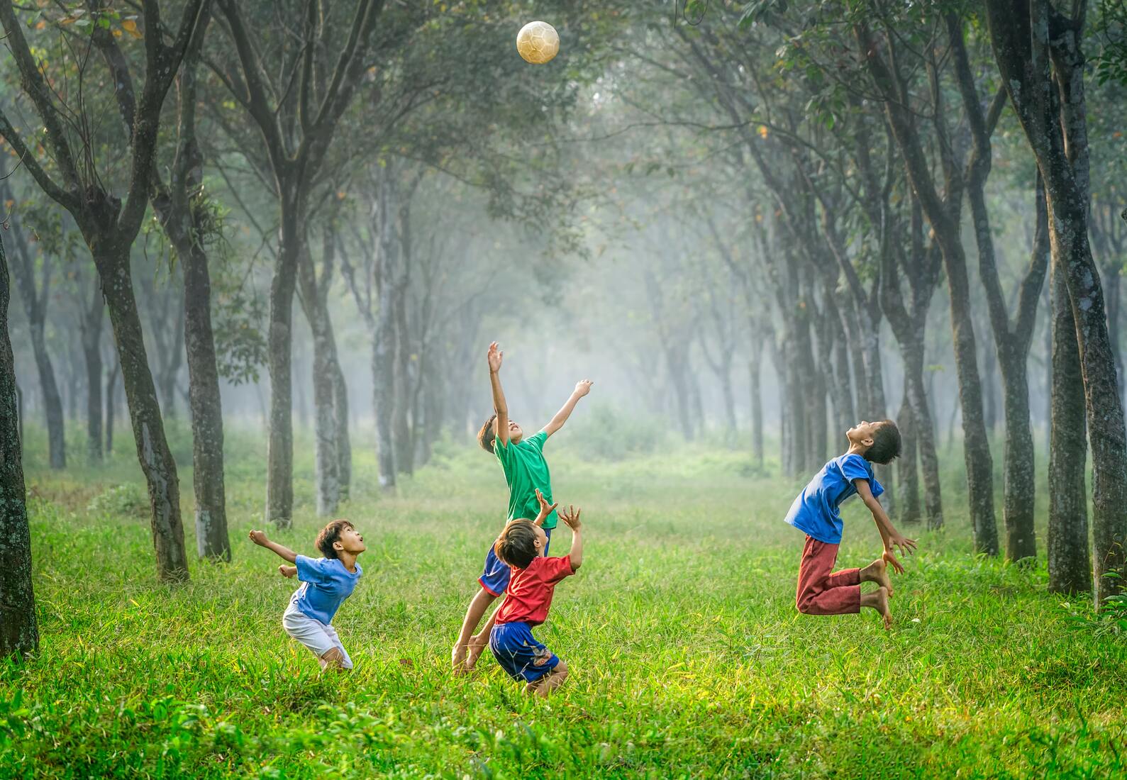 Imagen de 4 niños en el pasto esperando que la pelota caiga del cielo